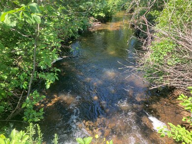 4740 Secord Rd, Wolverine, MI 49799 - photo 6