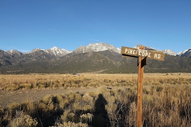 620 Pine Cone Rd, Crestone, CO 81131 - photo 5