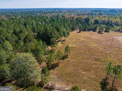 3.72 ACRES Florence Gay Rd, Cadwell, GA 31009 - photo 7
