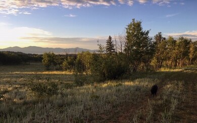 82 Rawhide Ct, Como, CO 80432 - photo 4