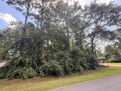 0000 Wildwood Dr unit Hemlock St., Village Mills, TX 77663 - photo 4