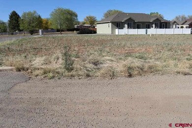 535 Juniper Place, Cortez, CO 81321 - photo 4