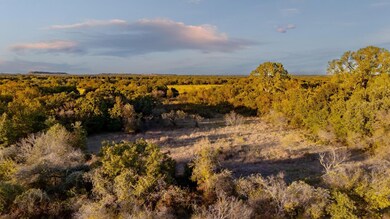 000 E Hackley Rd, Perrin, TX 76486 - photo 7