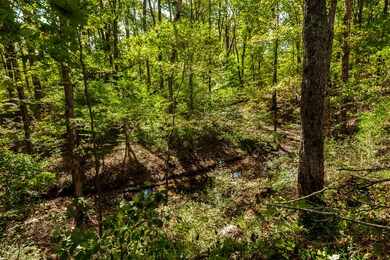 0 W Harper Rd unit RTC3031920, Portland, TN 37148 - photo 7