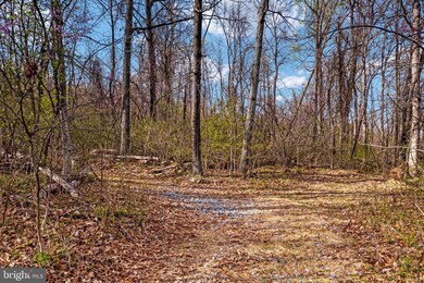 0 Forest Hill Ln unit VALO2024984, Bluemont, VA 20135 - photo 4