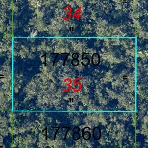 C-605-5ac91ffa0e9c417d9b89b80c4851e908