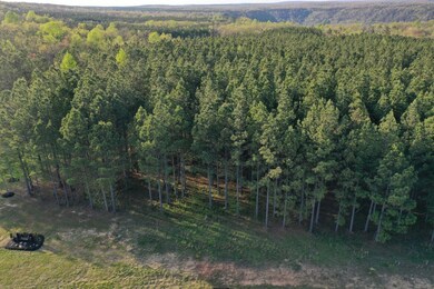 0 River Bluffs Jh 193 Dr unit RTC2721473, Jasper, TN 37347 - photo 3