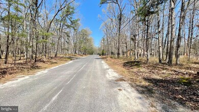 2118 Waverly Ave, Atco, NJ 08004 - photo 2