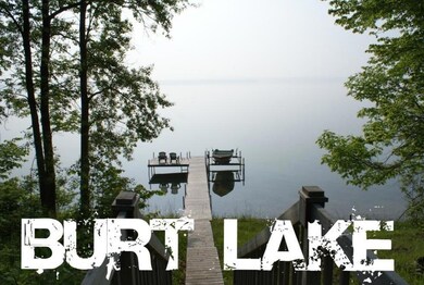 Burt Lake