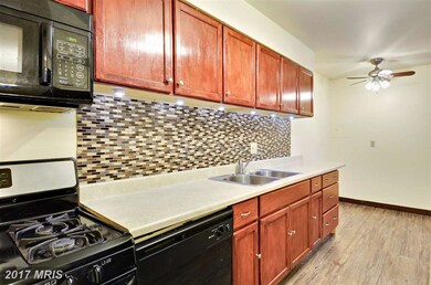 2307 Greenery Ln unit T3, Silver Spring, MD 20906 - photo 7