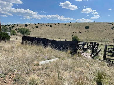 191 Kirkland Rd, Silver City, NM 88061 - photo 3