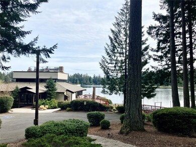 11408 Admiralty Way, Anderson Island, WA 98303 - photo 7