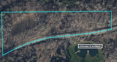 0 County Road 126, Greenwood, NY 14839 - photo 4