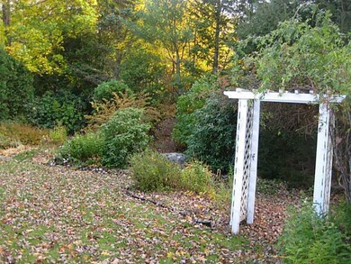 Yard/Garden.