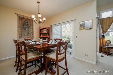 1221 Rhodes Ln unit 1006, Naperville, IL 60540 - photo 7
