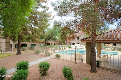 Patio Pool View 1