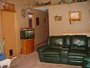 Living Room View 1