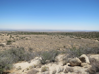 0 96th St E unit 25002488, Littlerock, CA 93543 - photo 3