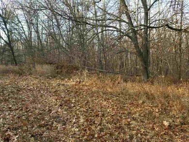 N7690 Us Highway 12/16, Camp Douglas, WI 54618 - photo 3