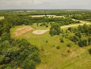 37 Red Bird Ln, Colbert, OK 74733 - photo 4