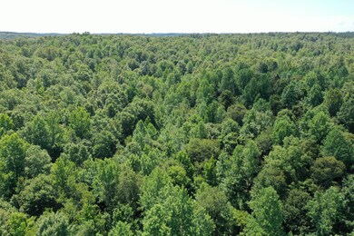 1921 McGee Rd, Linden, TN 37096 - photo 4