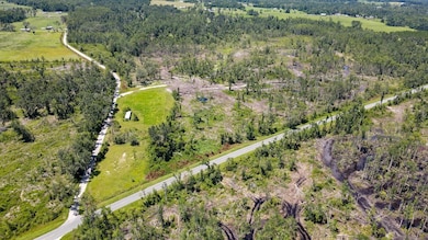 1217 SW Caleb Ave, Madison, FL 32340 - photo 3