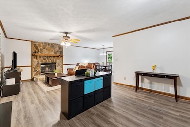 Kitchen featuring crown molding, dark cabinetry, wood finished floors, a ceiling fan, and a fireplace