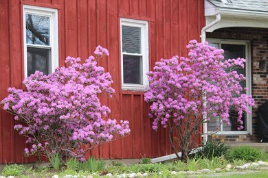 59 Patten Rd, Shelburne Falls, MA 01370 - photo 7