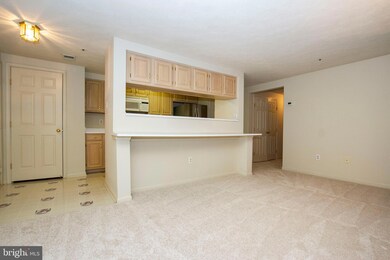 3217 Katewood Ct unit 2, Baltimore, MD 21209 - photo 5