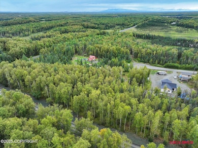 755 N Irish Setter Cir, Meadow Lakes, AK 99654 - photo 6