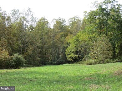 0 Jobbers Mountain Rd unit VARP107410, Sperryville, VA 22740 - photo 5