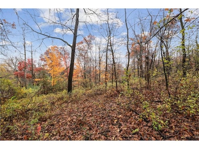 XXXX 100th Street St, Roberts, WI 54023 - photo 3