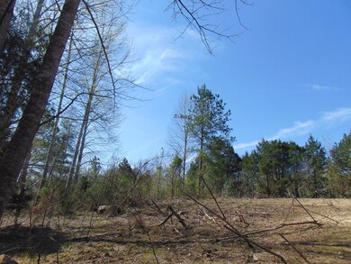 7.87 AC Paran Rd, Cookeville, TN 38506 - photo 4