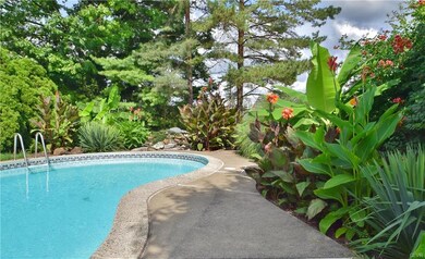 Some, but not all tropical plants remain...