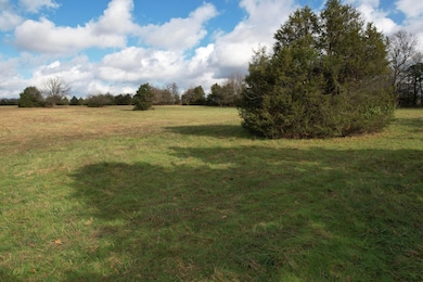 Track 3 E Farm Road 60, Franklin No. 2 Township, MO 65803 - photo 4