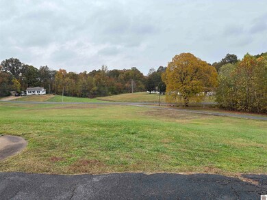 729 Lebanon St, Wingo, KY 42088 - photo 5