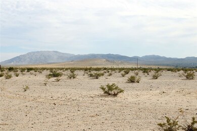 37999 Indian Trail, Twentynine Palms, CA 92277 - photo 6