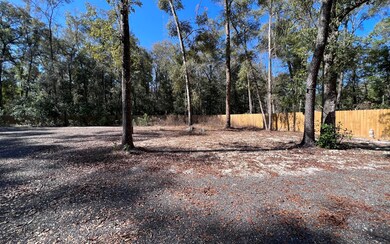 3902 280th St, Branford, FL 32008 - photo 3