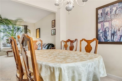 27167 Watkin Rd, Olmsted Falls, OH 44138 - photo 7