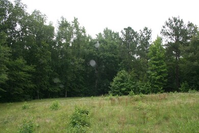 0 Baker Davis Rd unit 428510, Lincolnton, GA 30817 - photo 4