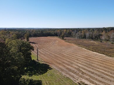 000 Childs Rd, Troy, AL 36081 - photo 6
