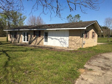 5552 Ga Highway 39, Donalsonville, GA 39845 - photo 6