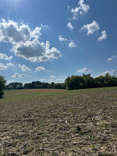 VL S Mill Rd, Dryden Township, MI 48428 - photo 6