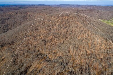 555.59ac Board Valley, Cookeville, TN 38501 - photo 7