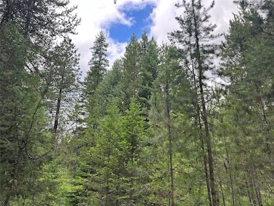 NHN Jewel Ln unit Lot 23, Trout Creek, MT 59874 - photo 6