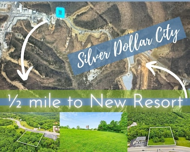 000 Highway 76, Branson West, MO 65737 - photo 3