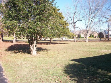 unlisted-address, Lebanon, TN 37090 - photo 2