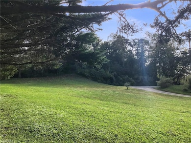 0 N Carolina 268 Bypass unit 1198325, Elkin, NC 28621 - photo 5