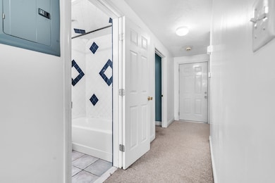 126 Cedar St unit 1, Roxbury, MA 02119 - photo 5