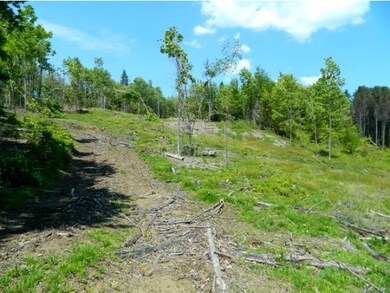 0 Vt Route 5a, West Burke, VT 05871 - photo 4